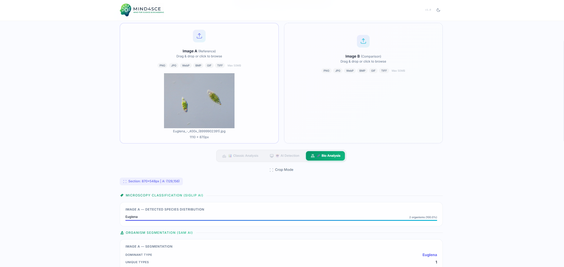 Bio identification — Automated organism classification and labeling.