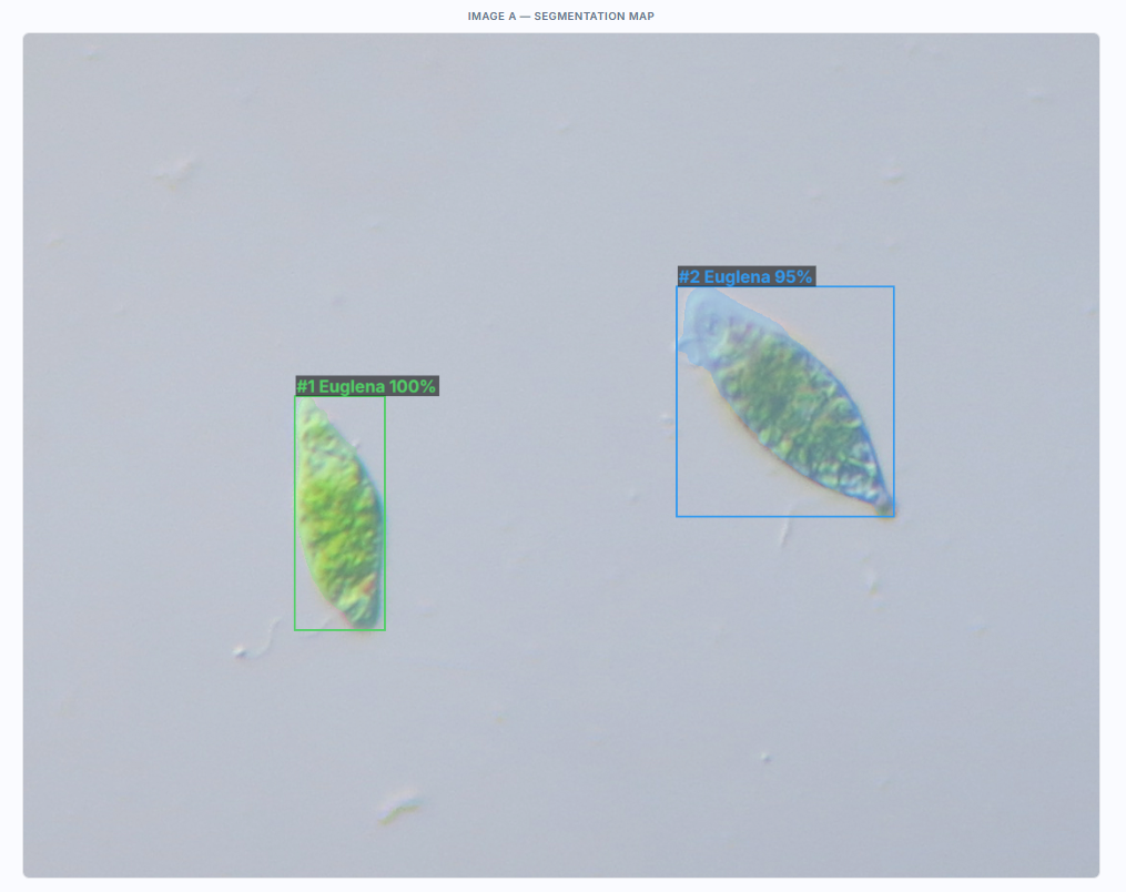 Bio identification — Detailed view of classification confidence scores.