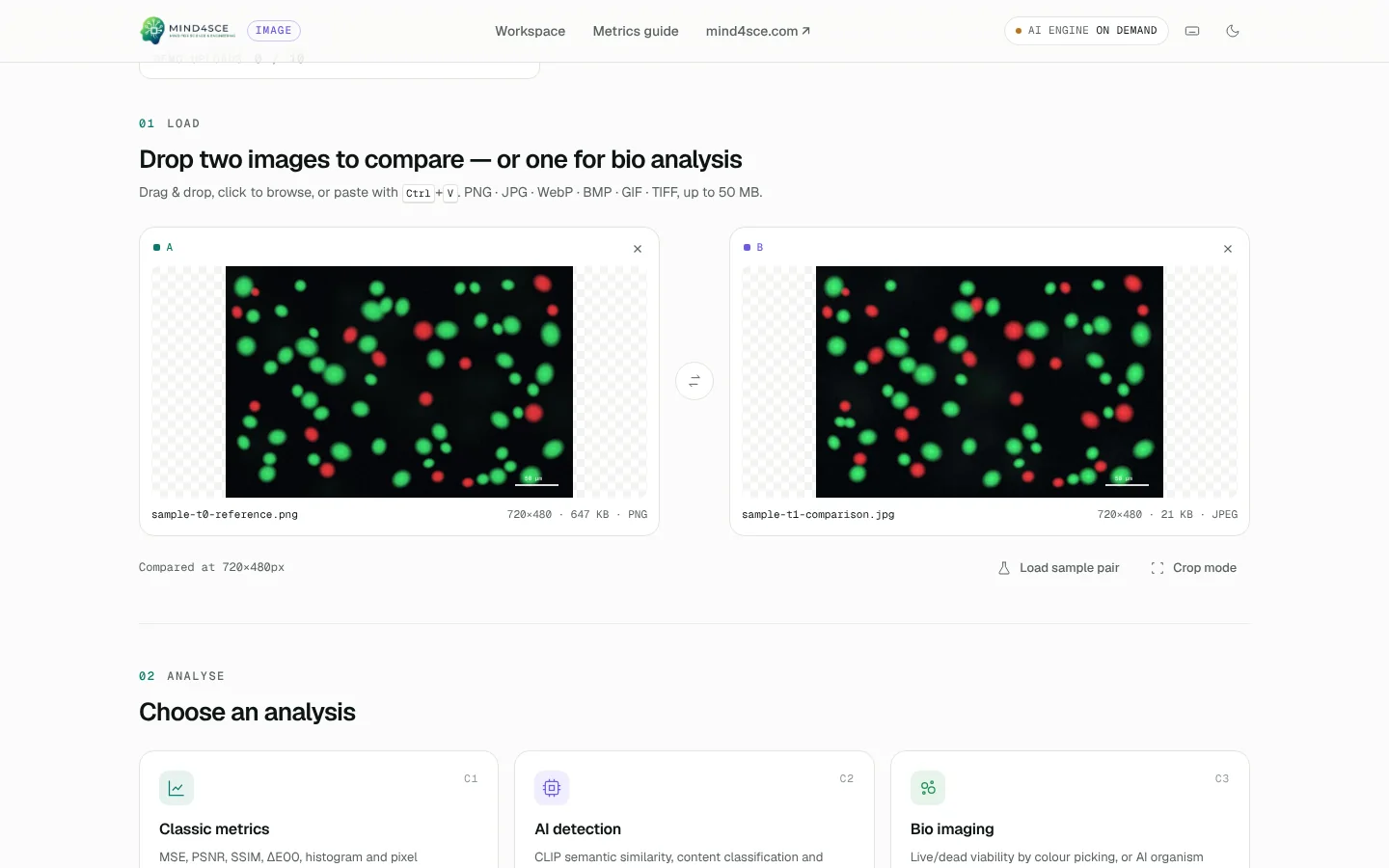 Load — Drop two images (or one for bio analysis) and choose an analysis.