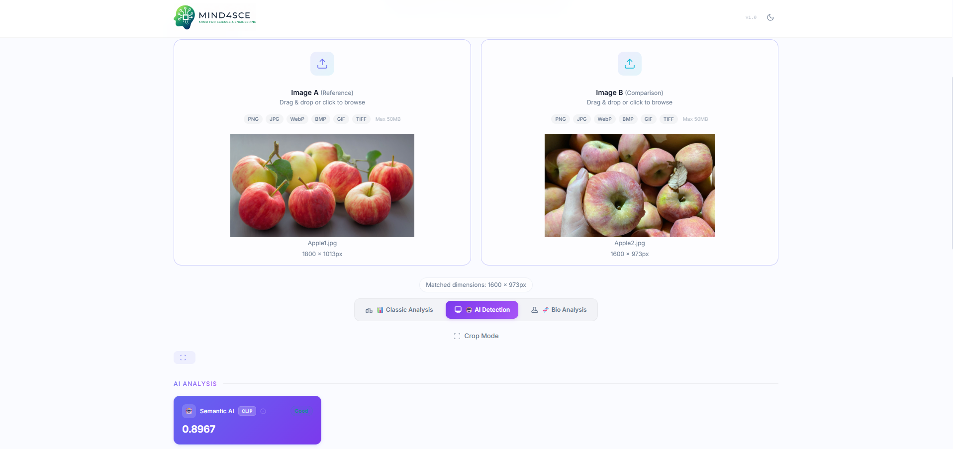 AI comparison — Semantic similarity analysis using CLIP model.